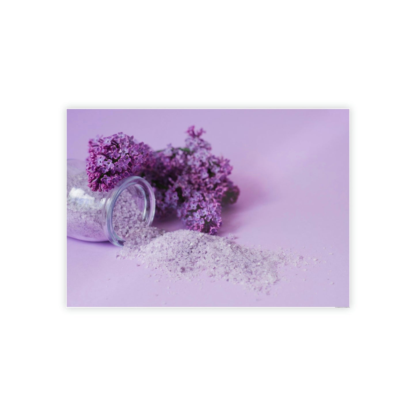 A Fragrant Bouquet of Lilacs: Capturing the Essence of Spring