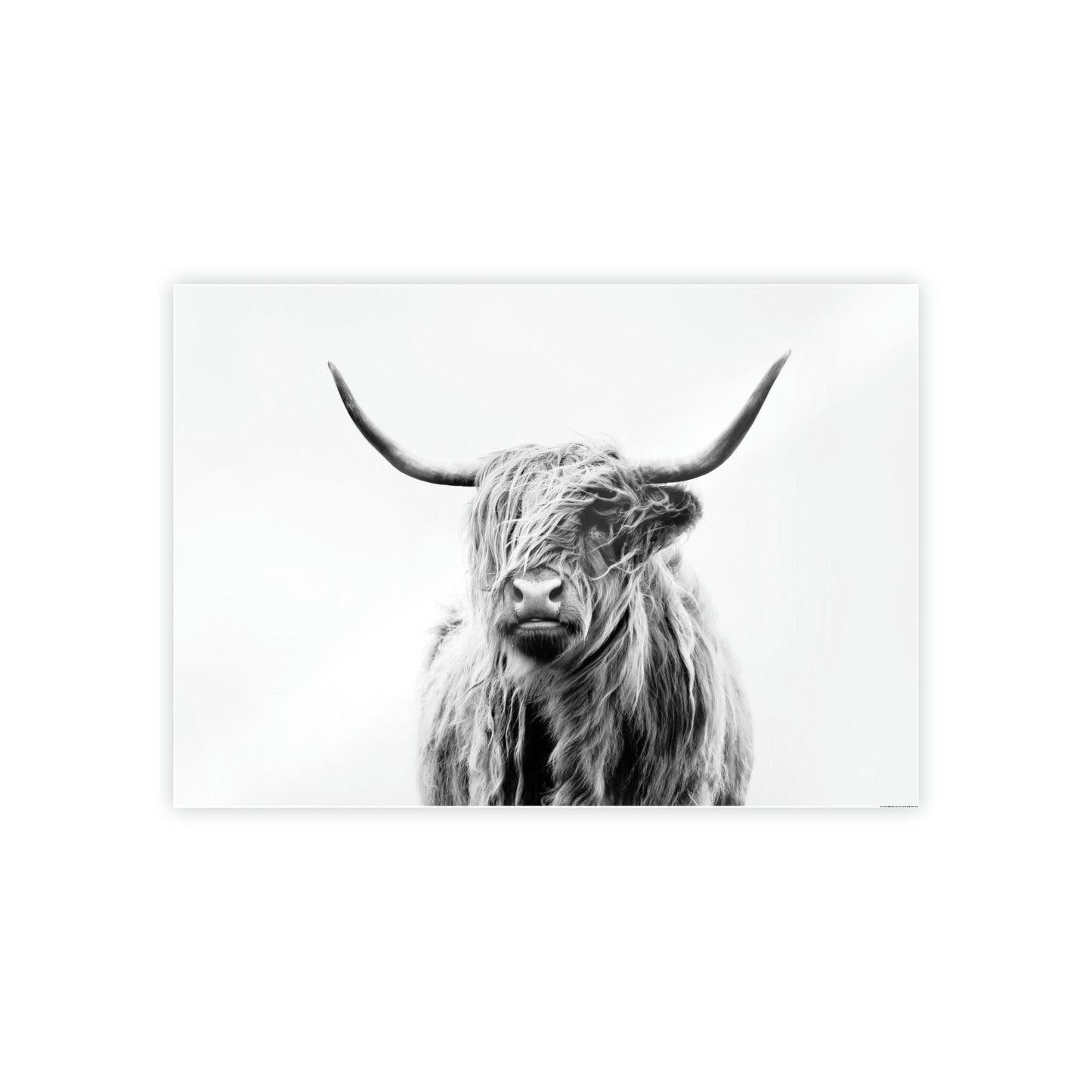 Nature's Majesty: Cow Art for a Breathtaking Wall Art Statement
