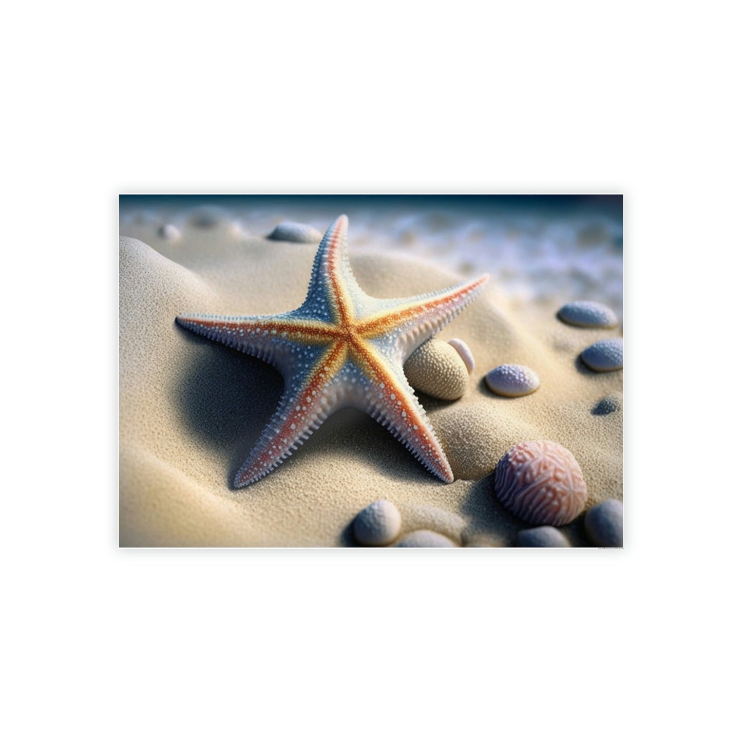 Starfish Tales: A Story of Sea Life and Wonder