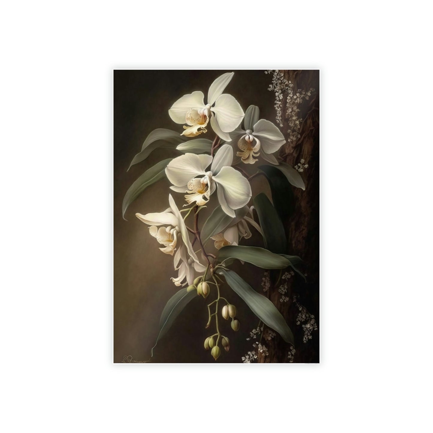 Orchid Bliss: Tranquility on Canvas