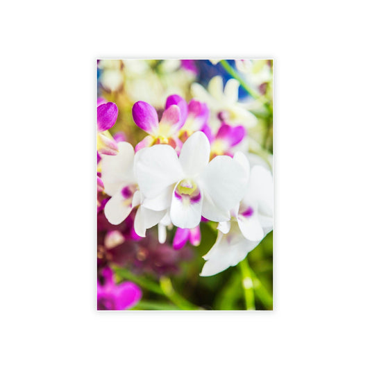 Orchid Garden: A Colorful Canvas Escape