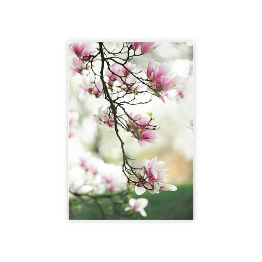 Magnolia Bliss: A Garden of Joy