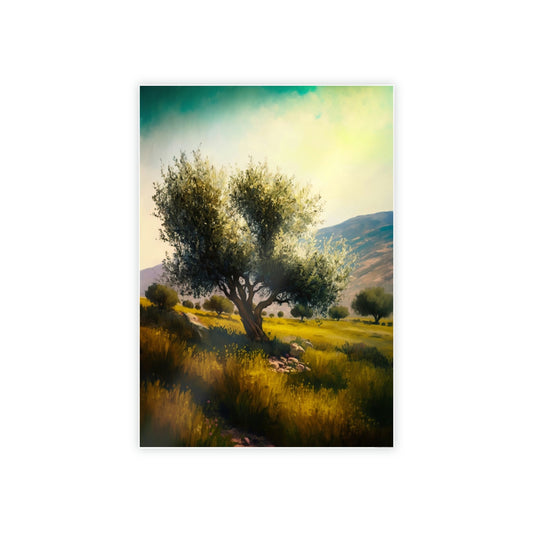 Shades of Green: A Tranquil and Serene Portrait of Olive Trees in Nature's Embrace