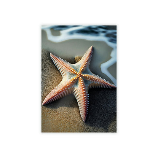Starfish Lullaby: A Calming Seascape