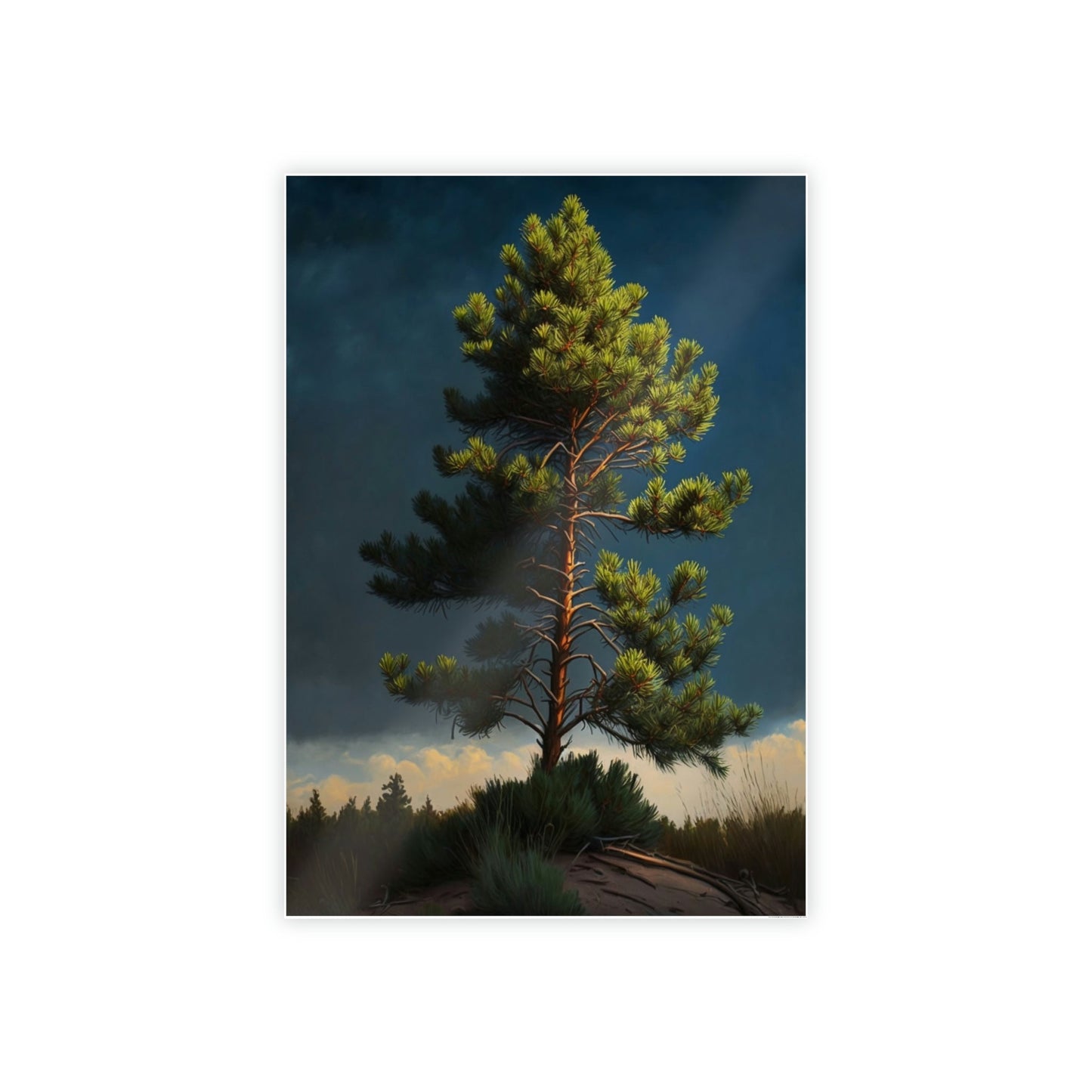 Pine Tree Sanctuary: A Canvas of Peace and Solitude