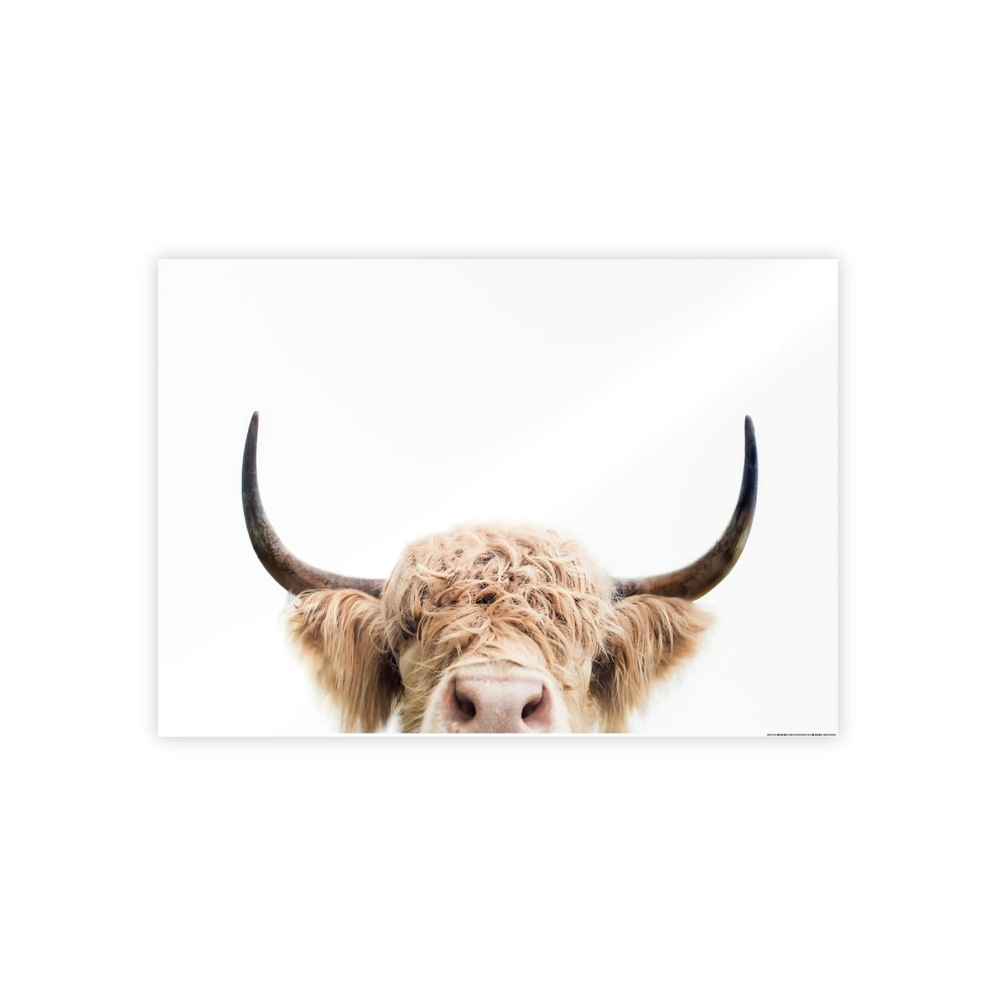 Highland Cow | Wooly Cow on Canvas | Wall Art — Pixoram