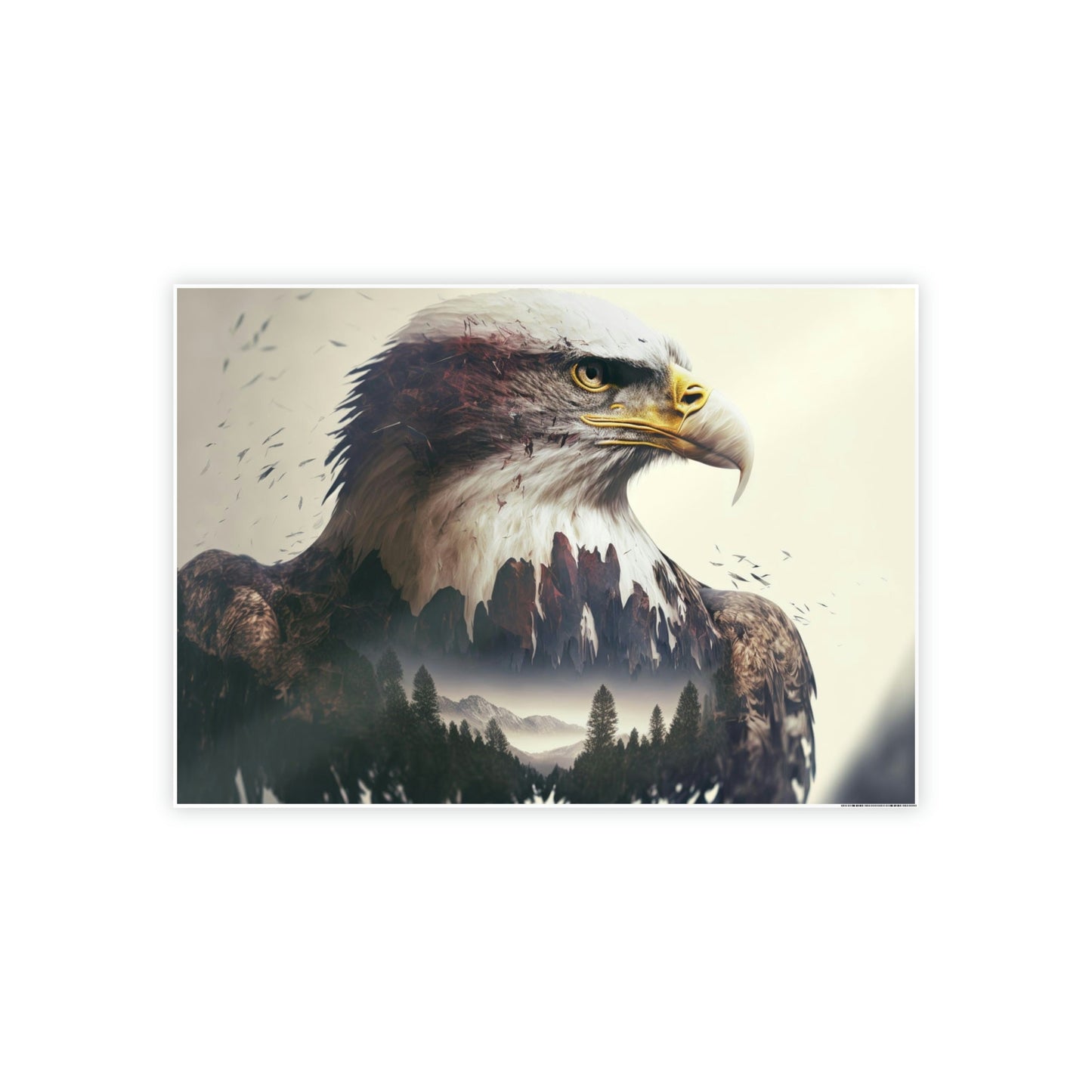 Eagle's Grace Unveiled: Poster & Canvas Exuding Majestic Beauty