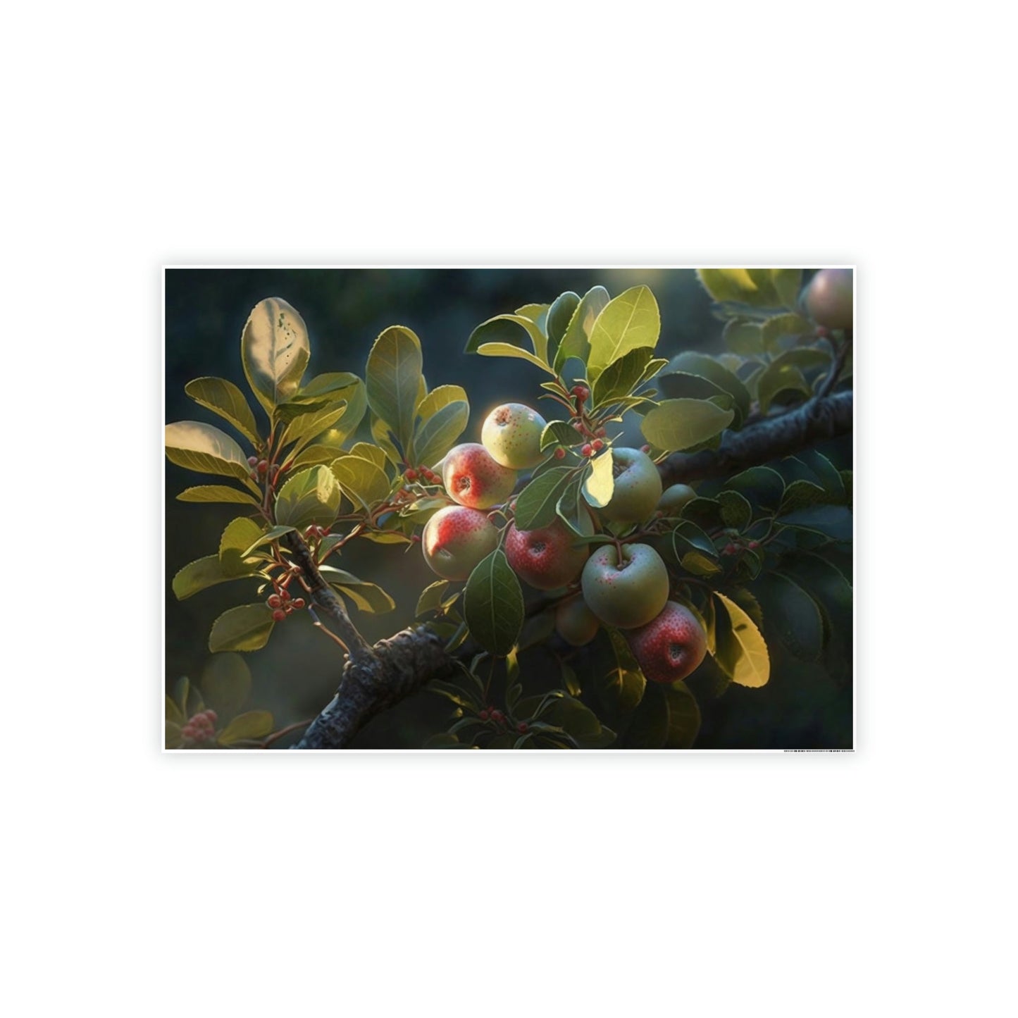 Apple Tree Blossoms: Framed Canvas & Poster Print of Springtime Flowers
