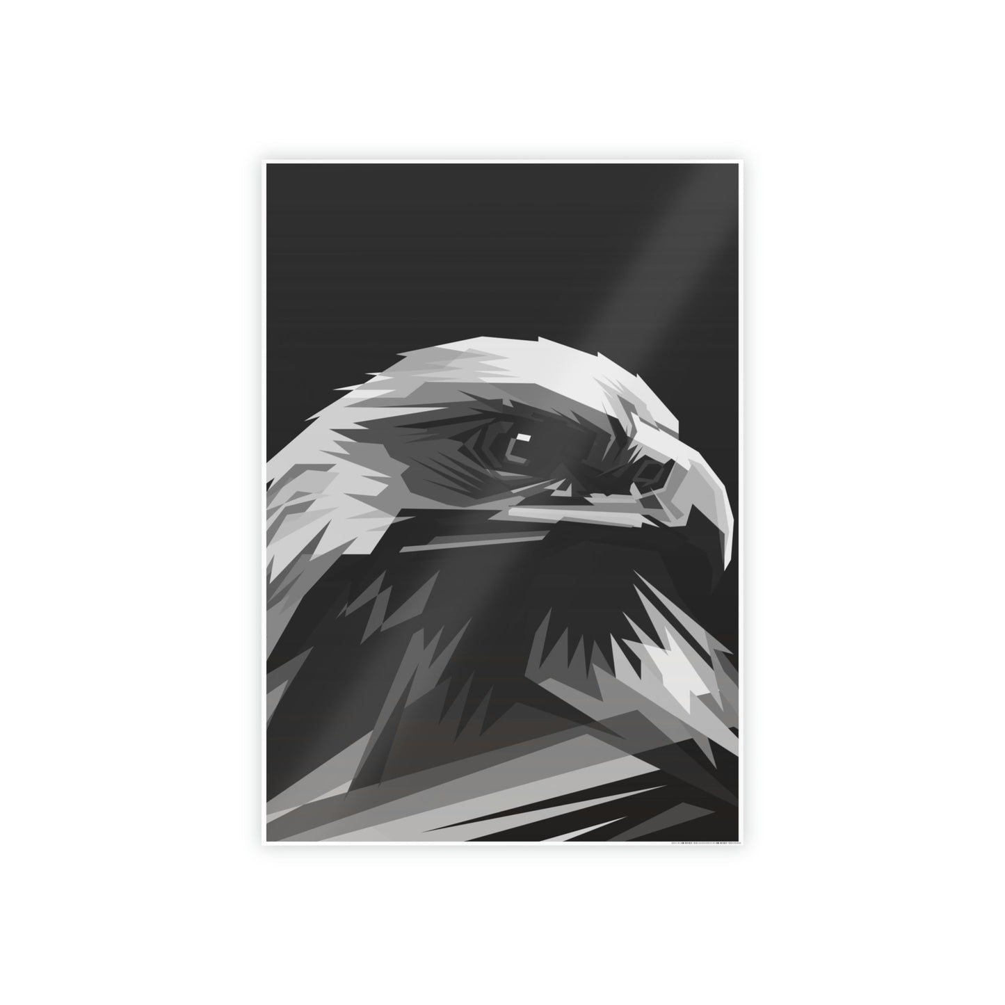 Mystical Guardians: Framed Poster Embodied with the Essence of Eagles