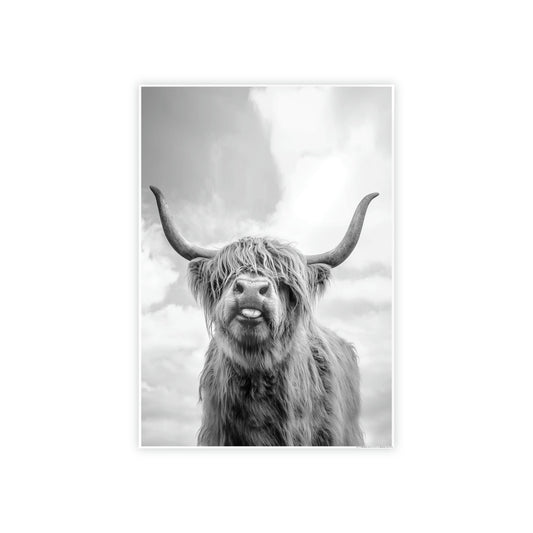 Highland Cow | Wooly Cattle | Black-White Art — Pixoram