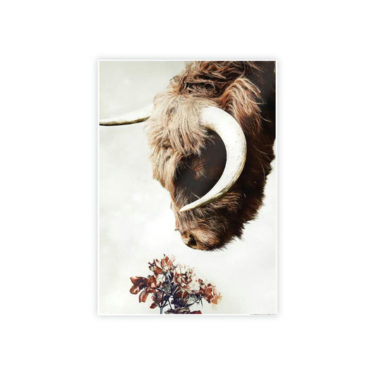 Highland Cow | Horned Cow Smelling a Flower | Animal Wall Art — Pixoram