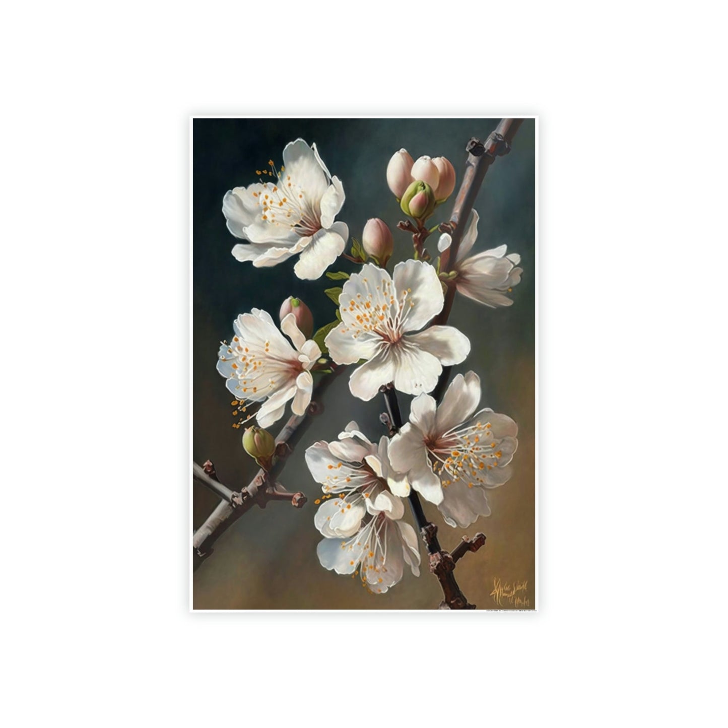 The Promise of Spring: Poster & Canvas Print of Blooming Almond Trees