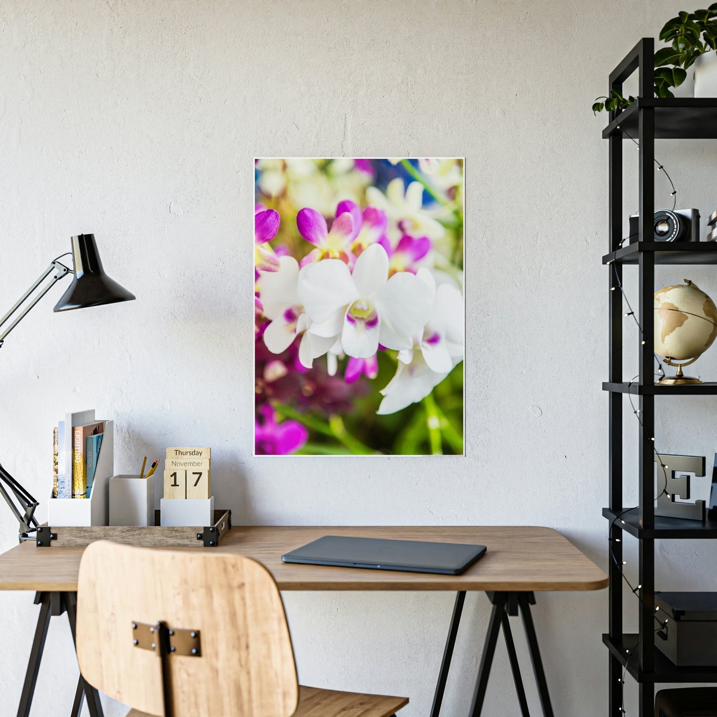Orchid Garden: A Colorful Canvas Escape