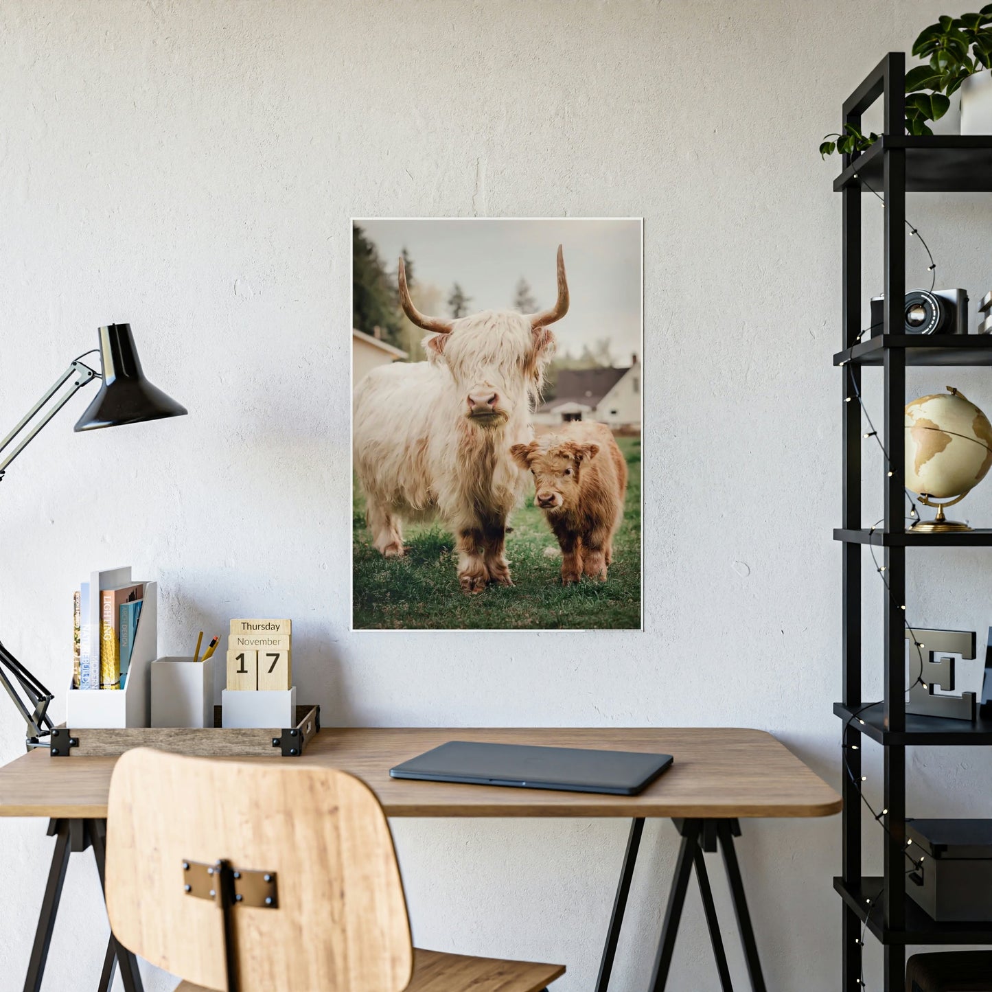 Highland Cow | White & Brown Highland Cows | Marvelous — Pixoram