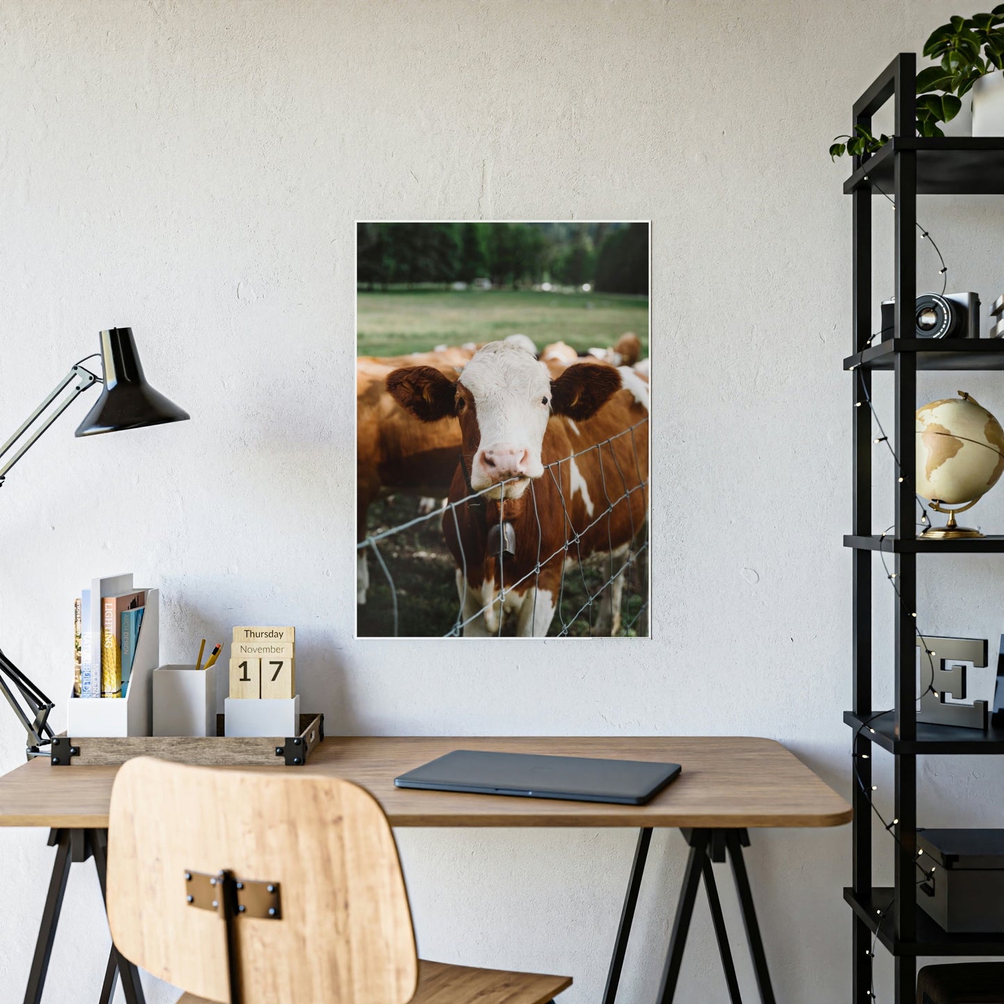 Miniature Highland Cattle - Wall Art Animal Canvas