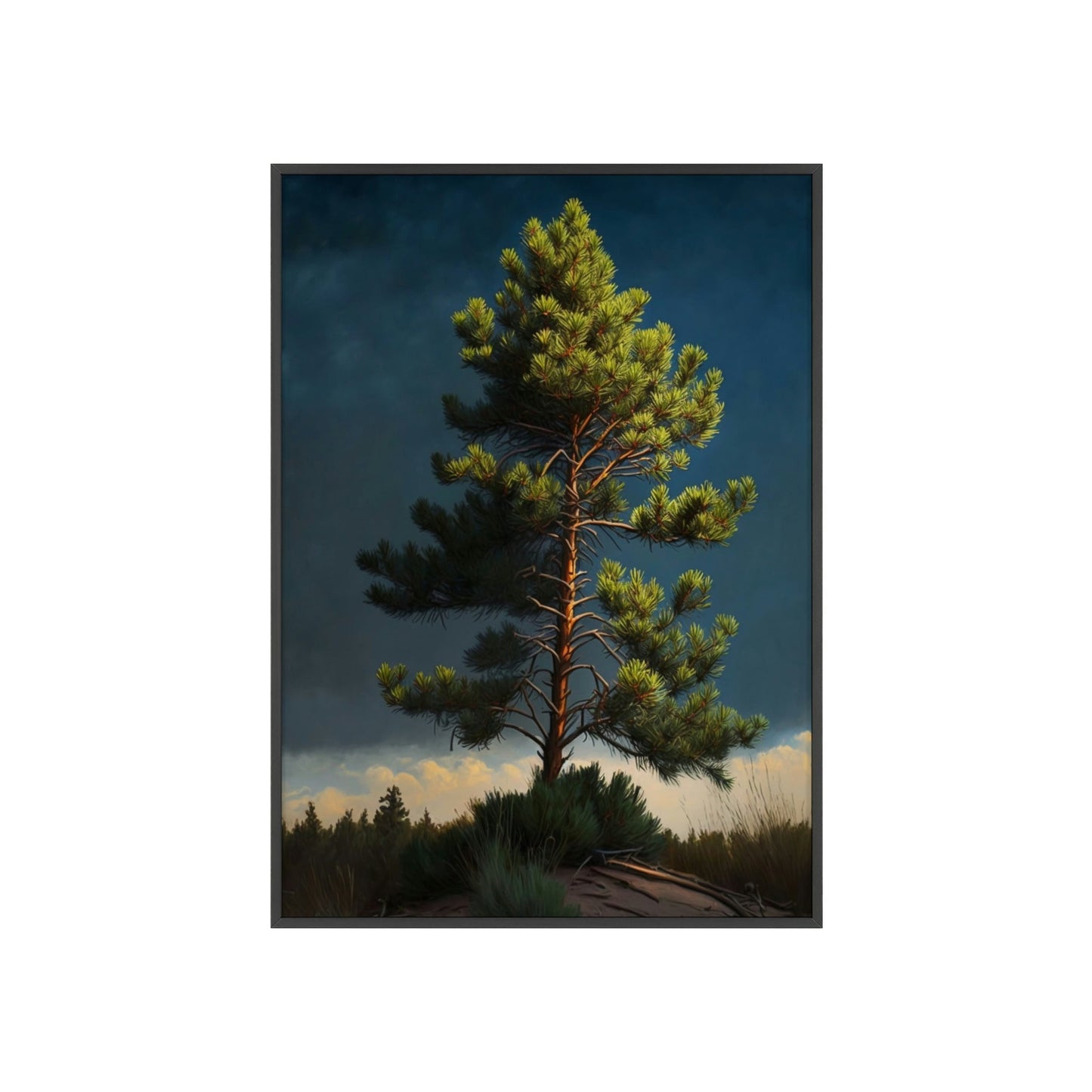 Pine Tree Sanctuary: A Canvas of Peace and Solitude