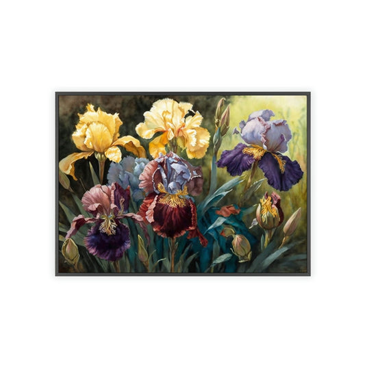 Iris Dance: A Canvas of Petals in Motion