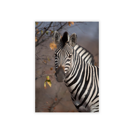 Zebra Stripes on the Horizon: Canvas Art Displaying a Beautiful Zebra in the Wild