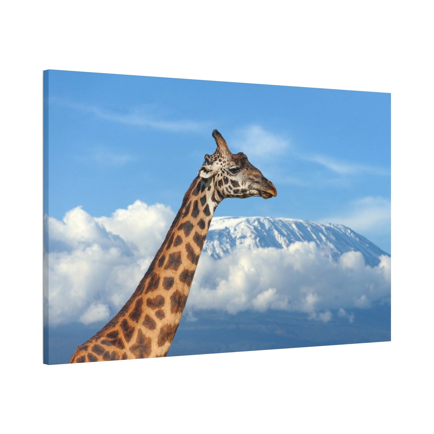 Giraffe Journey: Inspiring Art on a Framed Canvas or Poster