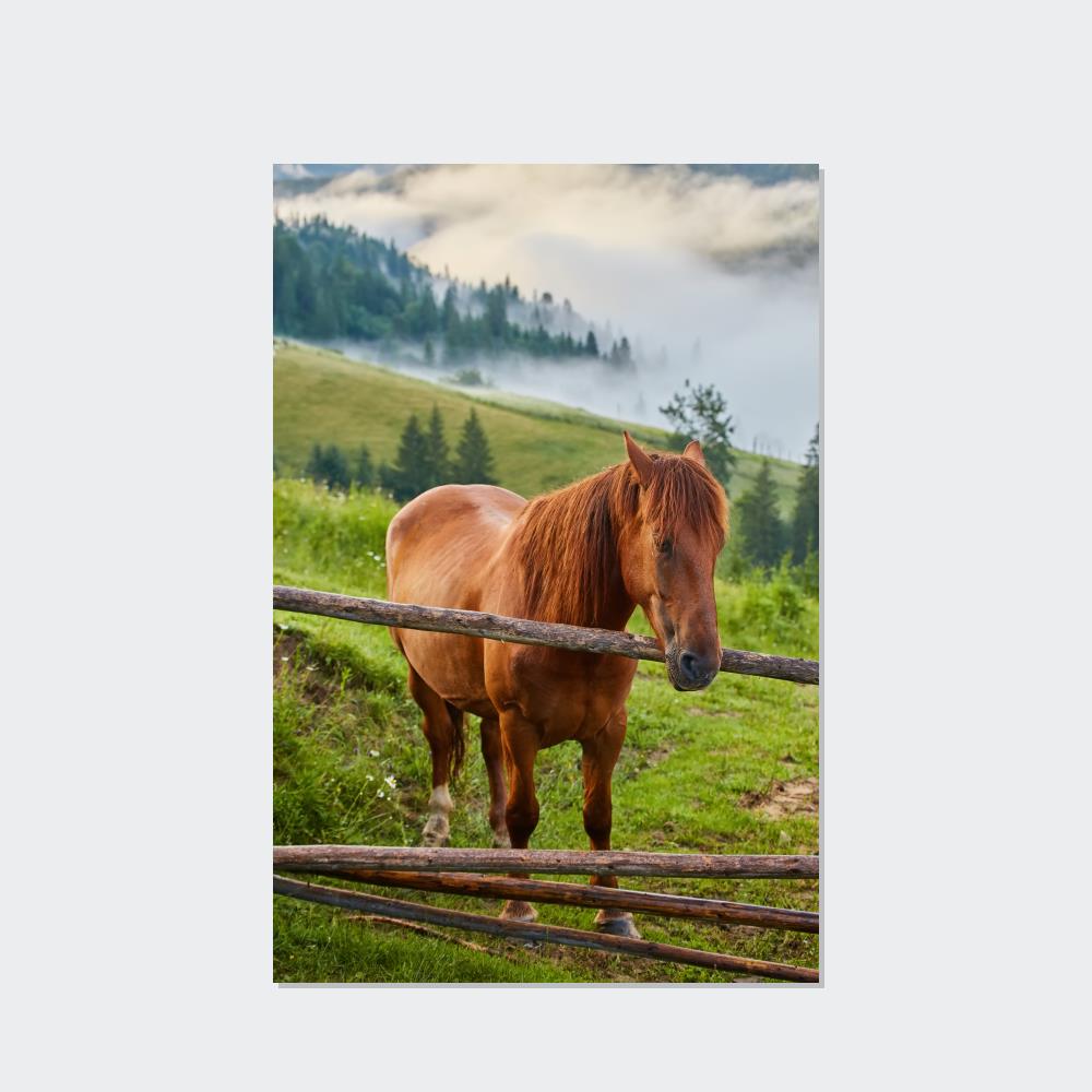 Majestic Horse: A Stunning Animal Painting on Canvas to Adorn Your Wall