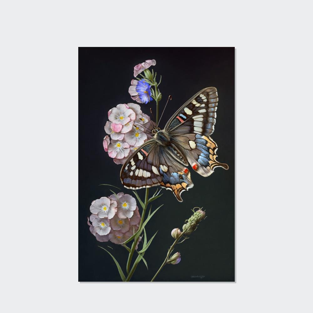 One Butterfly: Framed Canvas & Poster Print Capturing the Beauty of a Single Insect