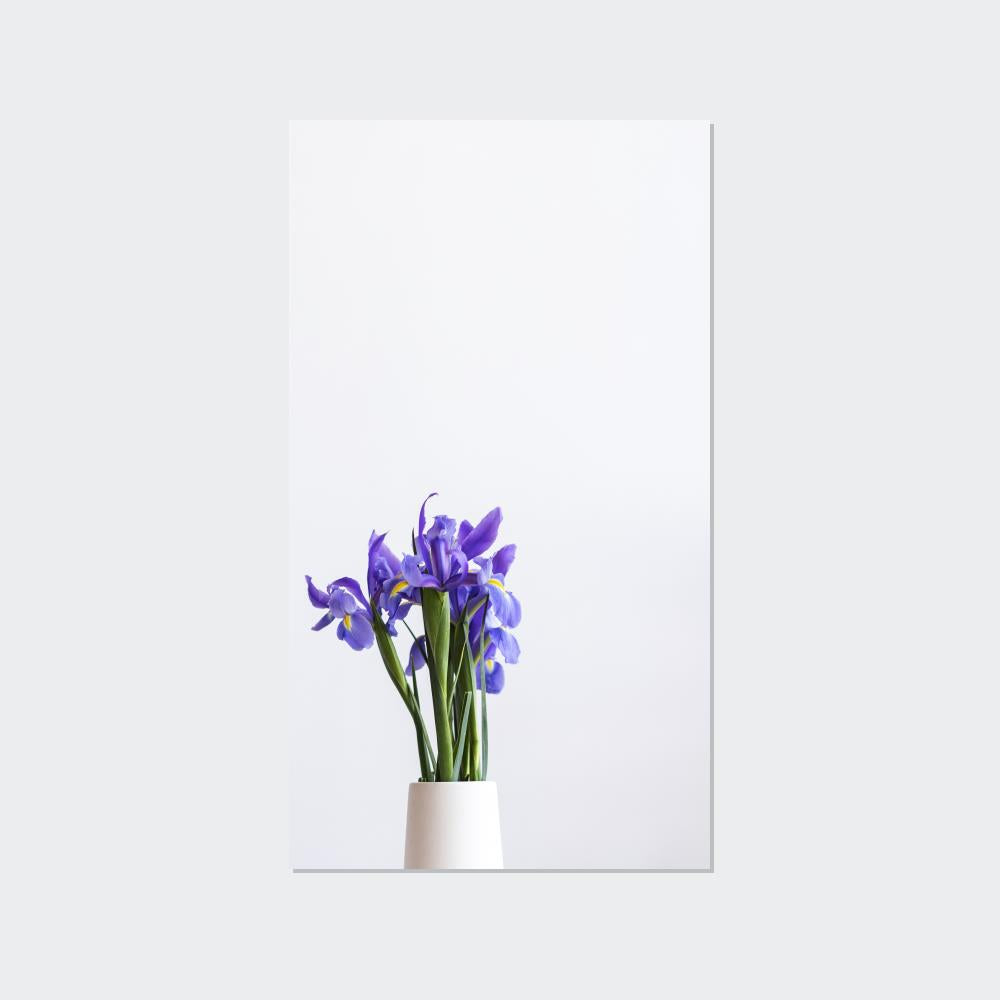 Iris Oasis: A Canvas of Cool Breezes and Serenity