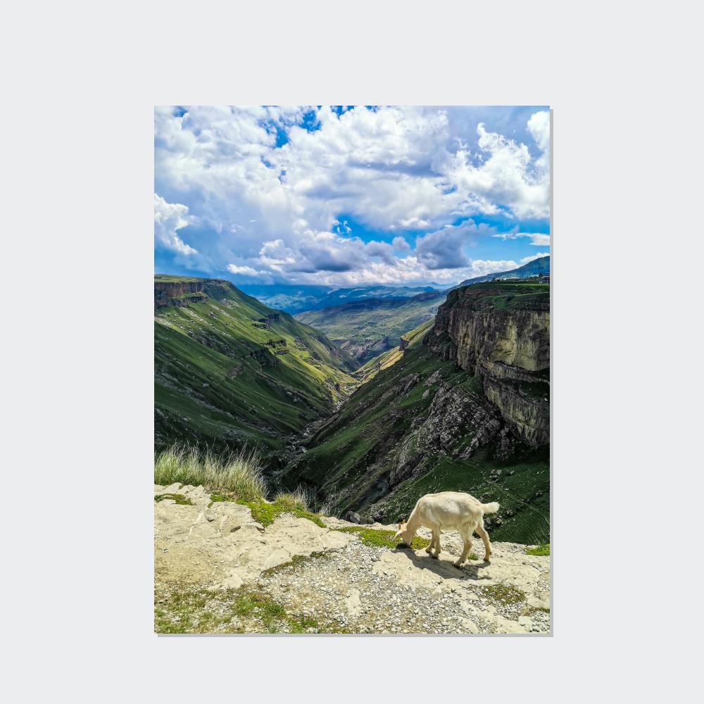 Explore the National Parks: Artistic Impressions on Canvas