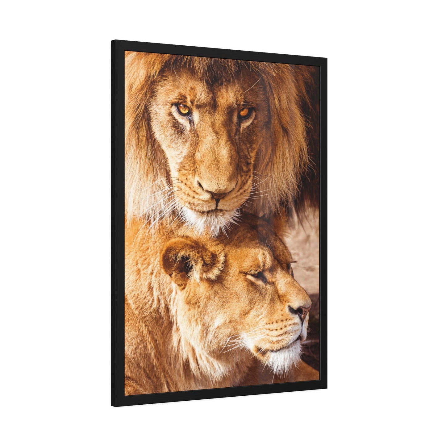 African Royalty: Wall Art of a Magnificent Lion on Natural Canvas