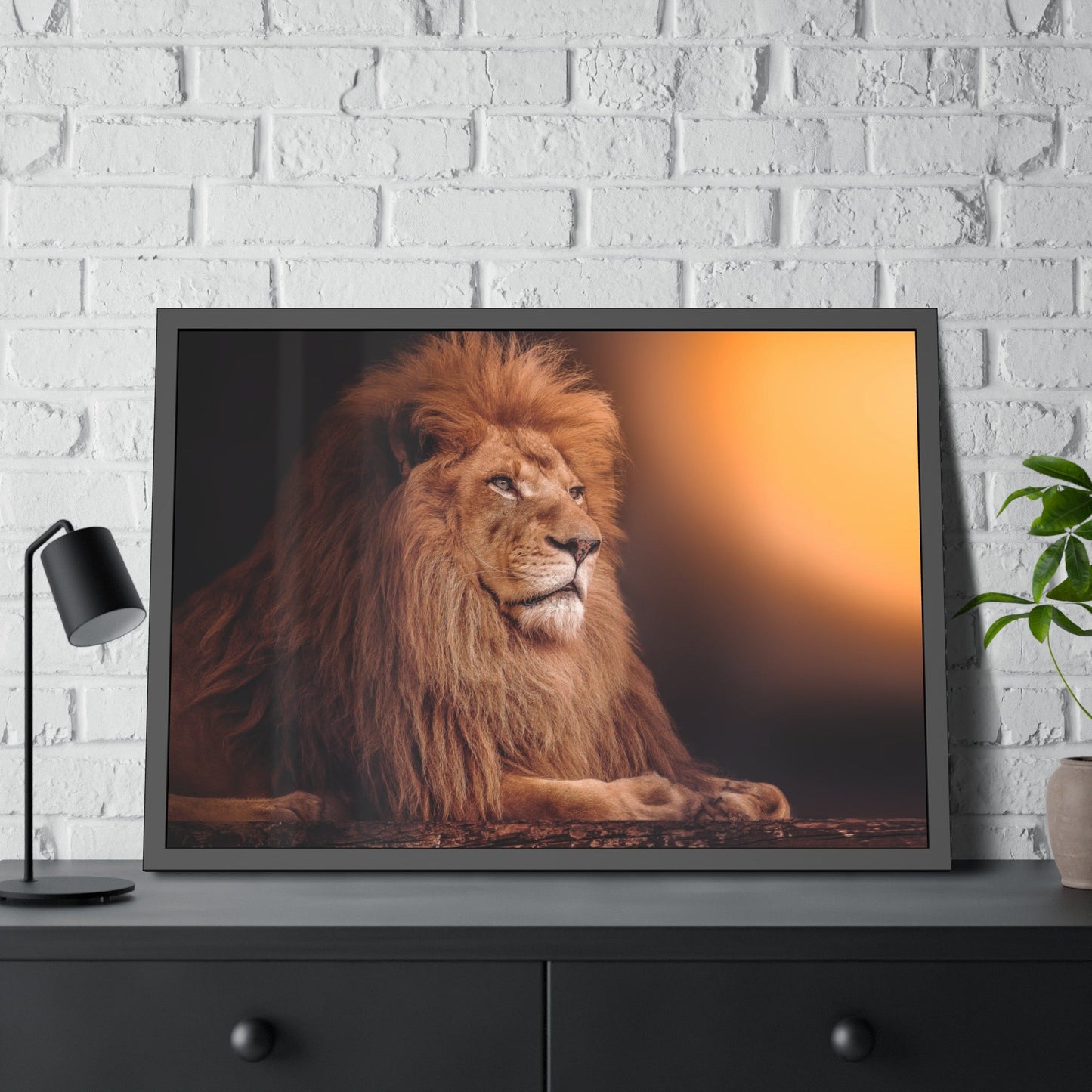 The Lion's Grace: Framed Canvas Print of the Majestic African Mammal