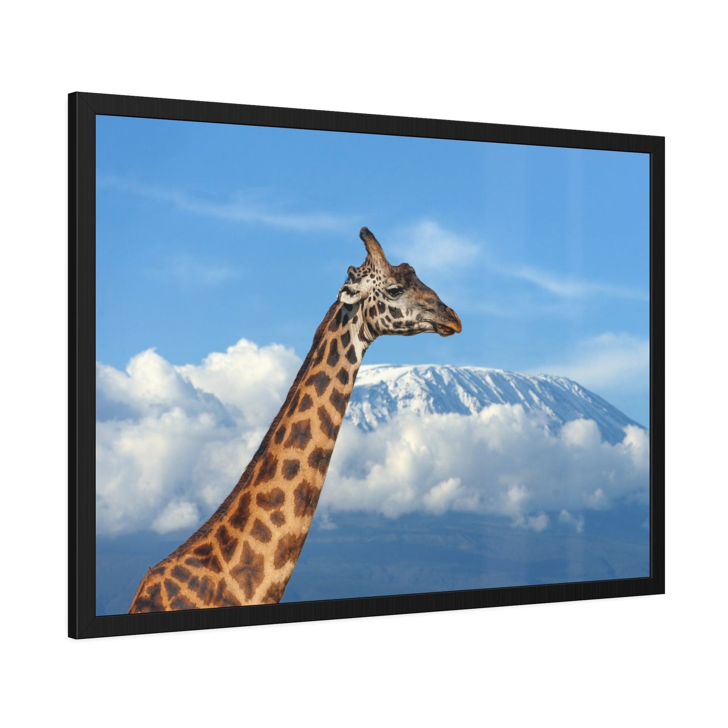 Giraffe Journey: Inspiring Art on a Framed Canvas or Poster