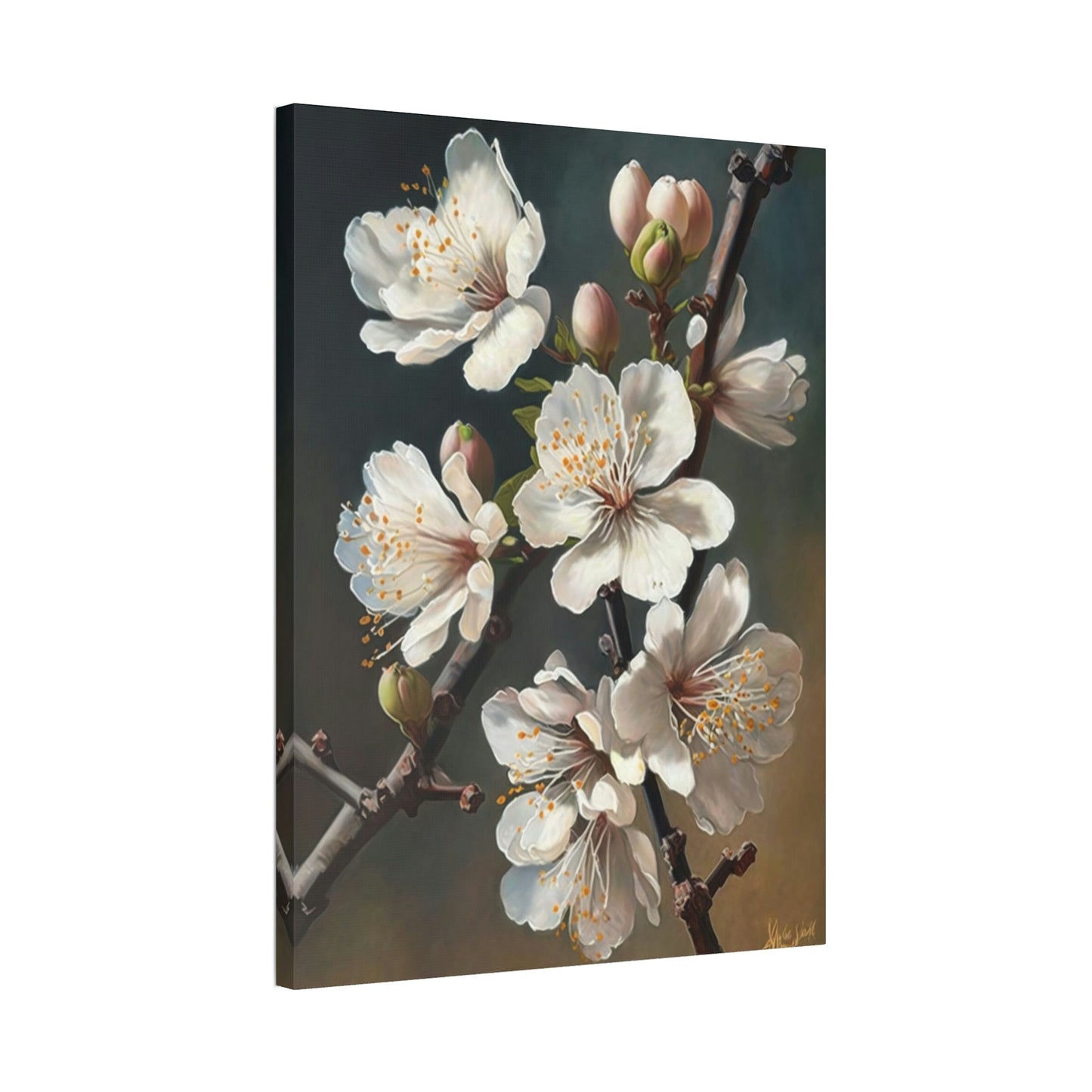 The Promise of Spring: Poster & Canvas Print of Blooming Almond Trees