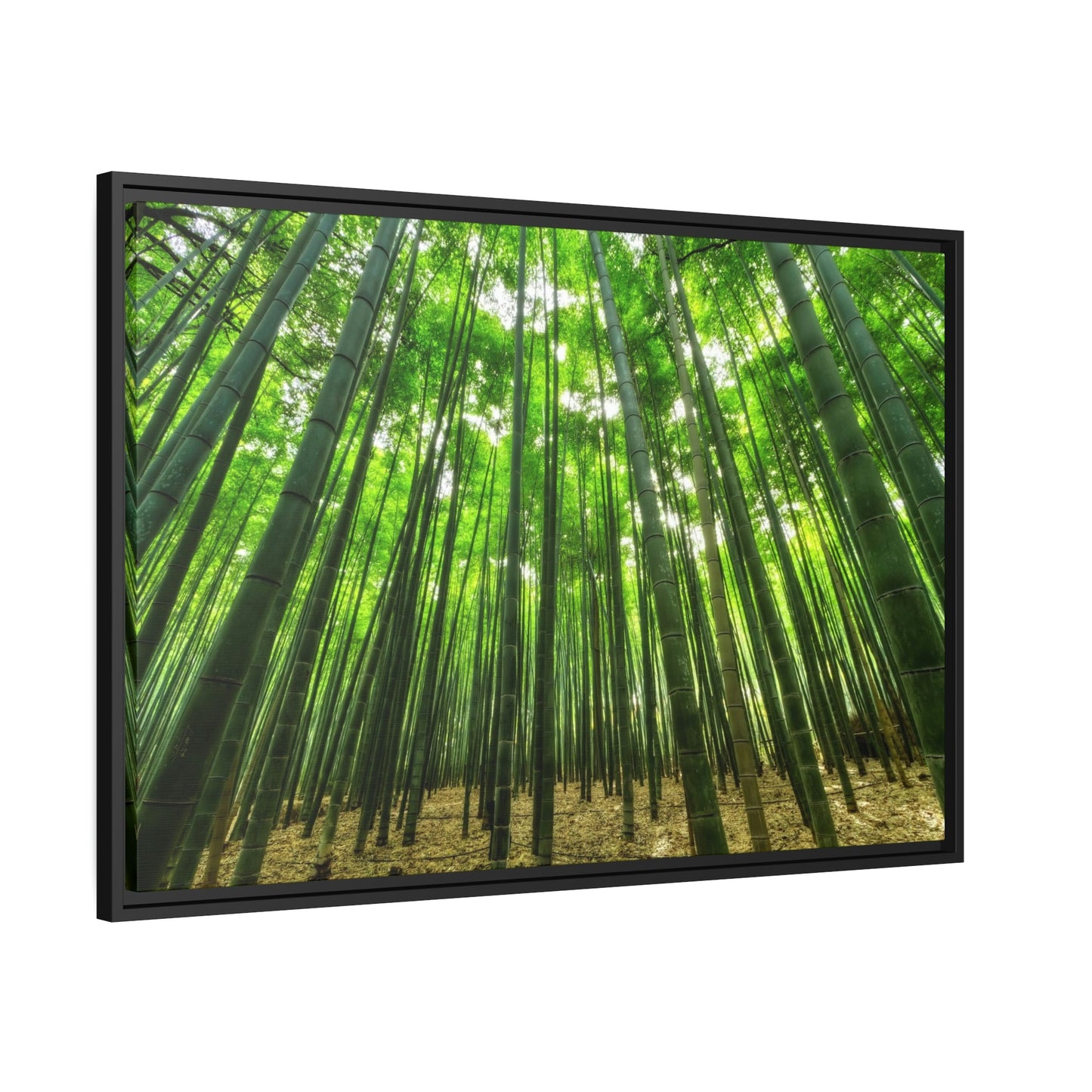 Enchanted Forest: Framed Canvas Wall Art of Trees