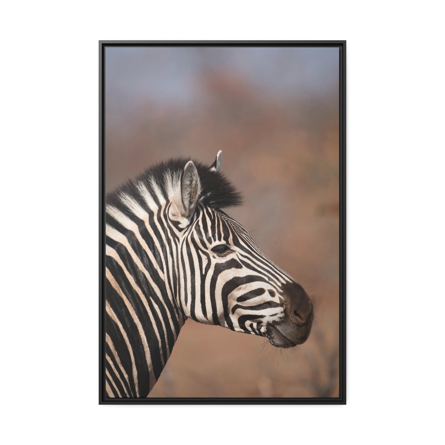 Wild Beauty: Natural Canvas and Framed Poster Featuring a Majestic Zebra