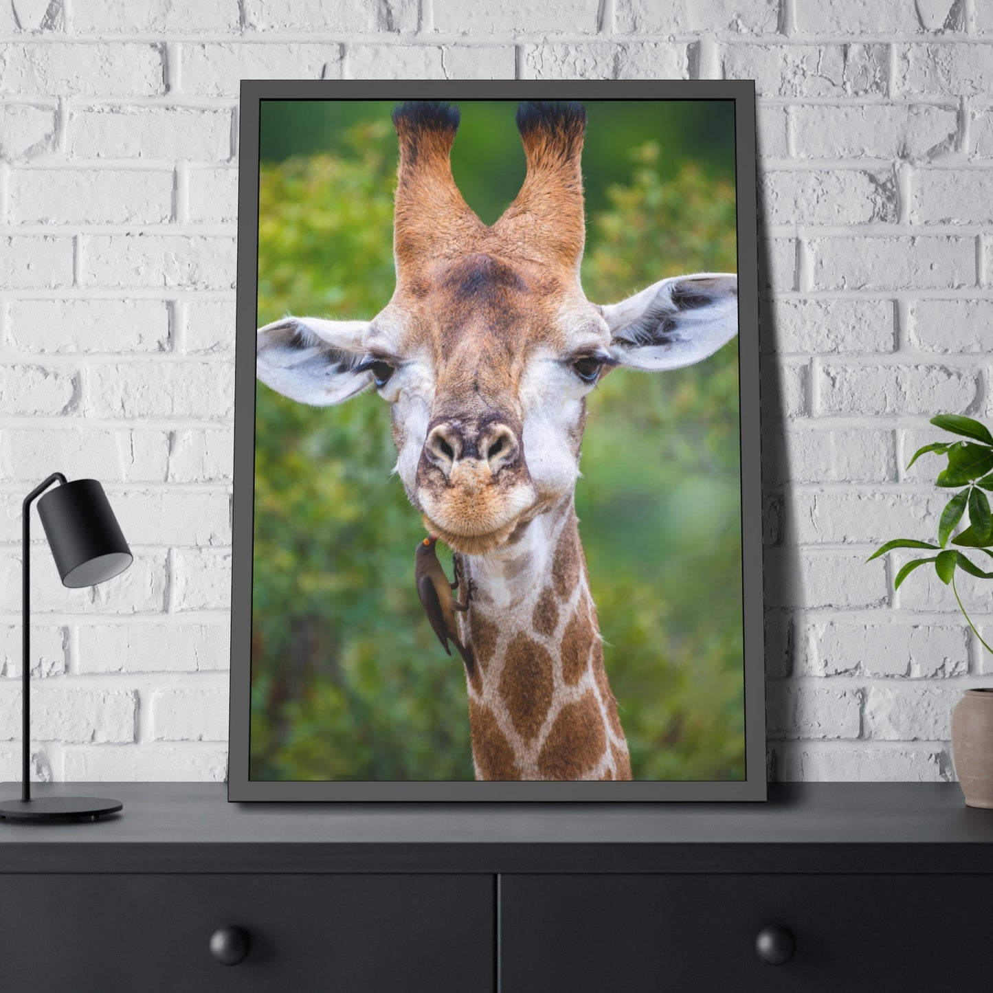 Nature's Masterpiece: A Gorgeous Giraffe on Canvas & Poster