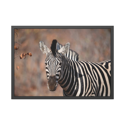 Graceful Stripes: Zebra Print on a Framed Canvas Poster