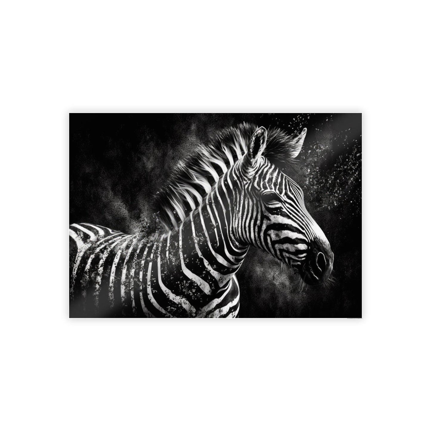 Black and White Elegance: Zebra Canvas & Poster Print Wall Art