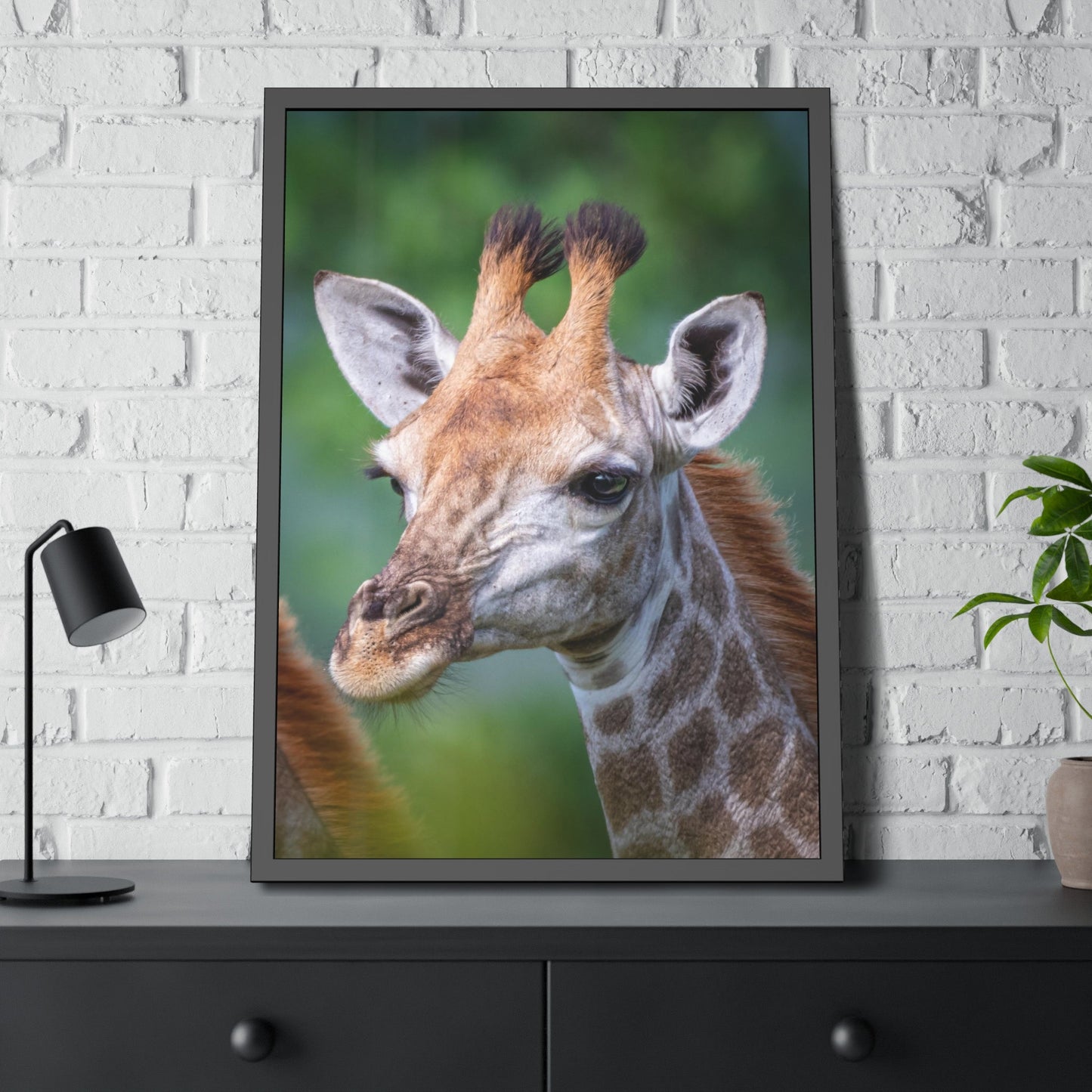 Regal Beauty: A High-Quality Canvas Print of a Giraffe's Elegance